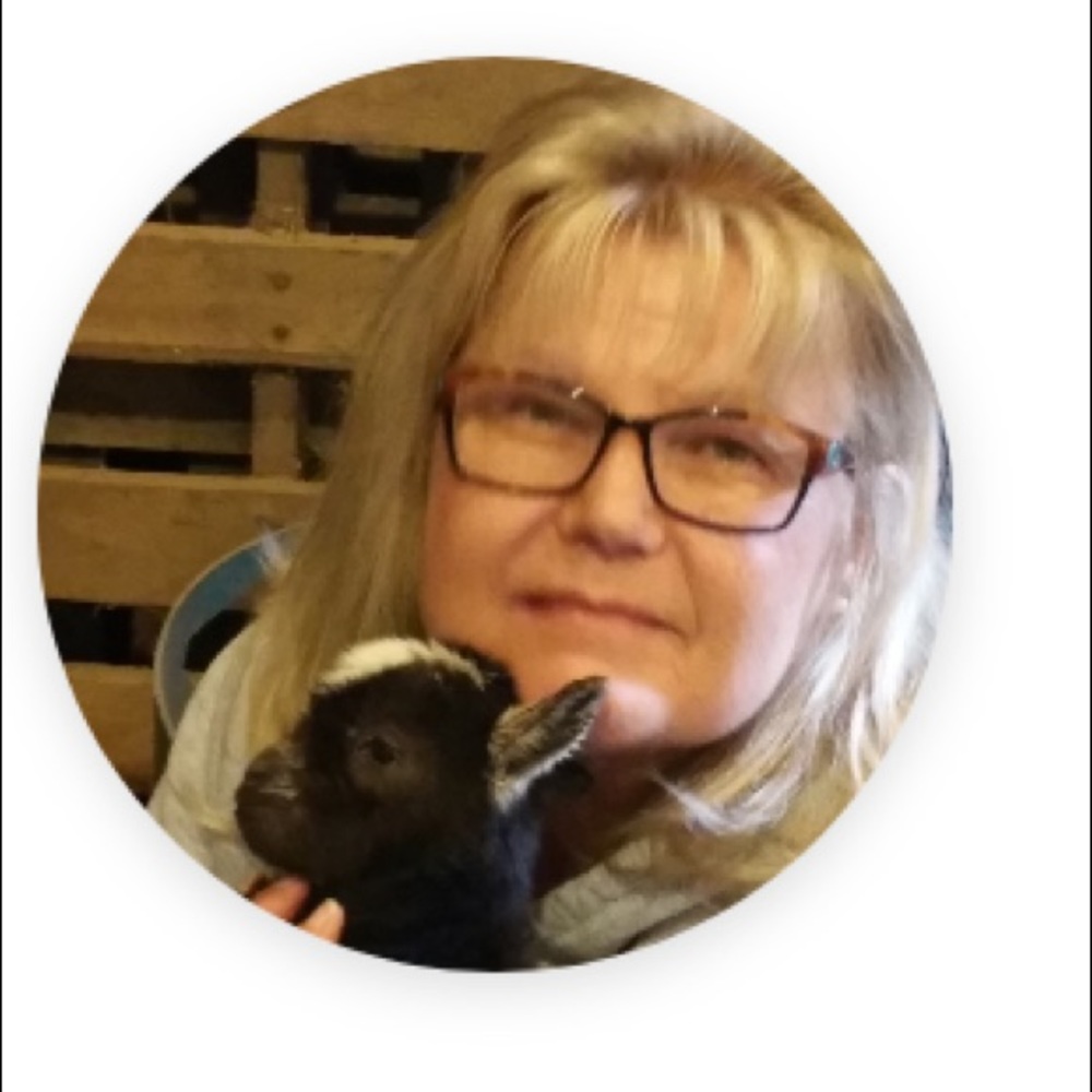 Meet your Posher, Regina